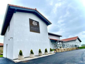 Apartamentos Requejil